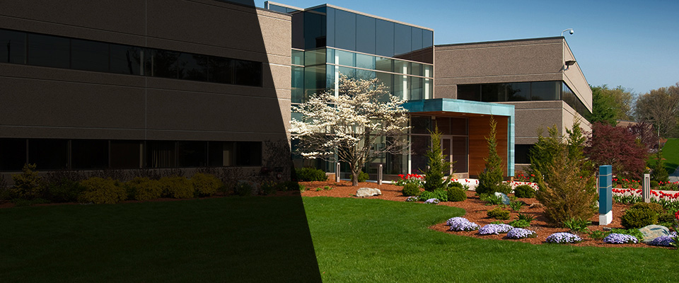 Wister Landscapers
