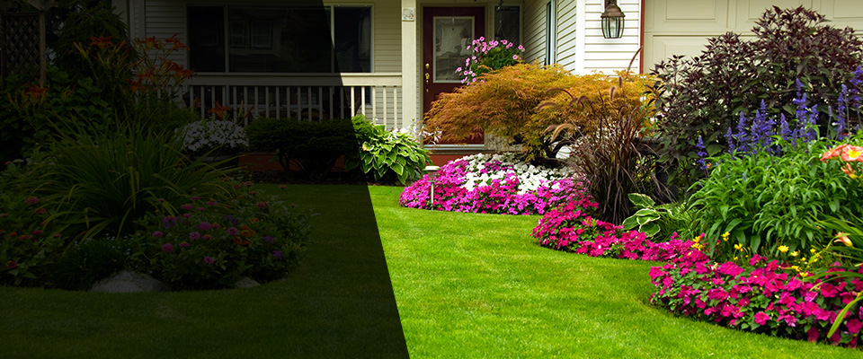 Wister Landscapers