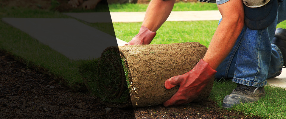 Wister Landscapers